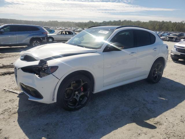 ALFA ROMEO STELVIO TR 2025