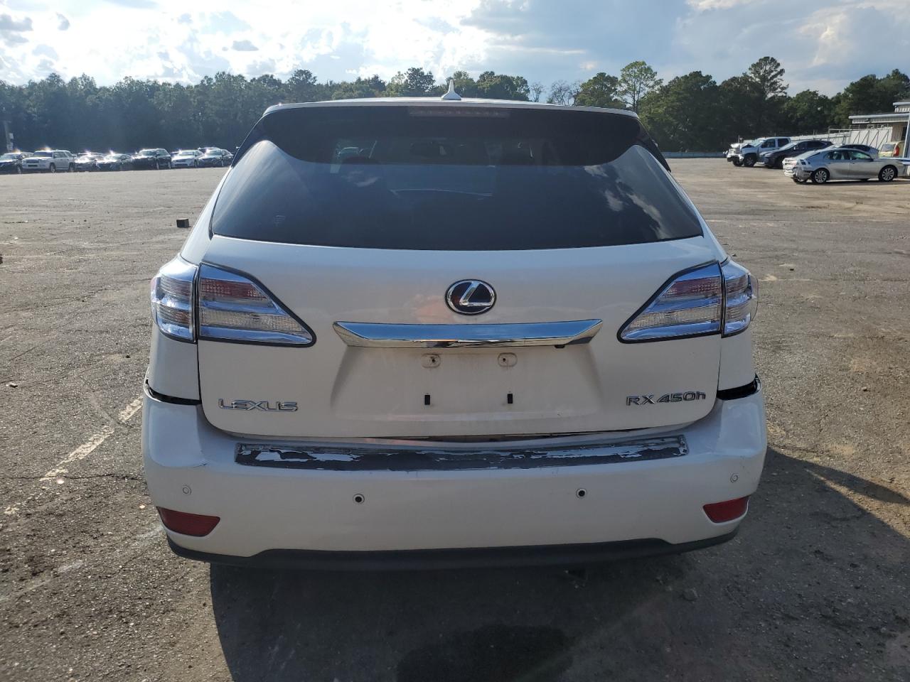 2010 Lexus Rx 450H VIN: JTJZB1BA4A2001555 Lot: 85276115