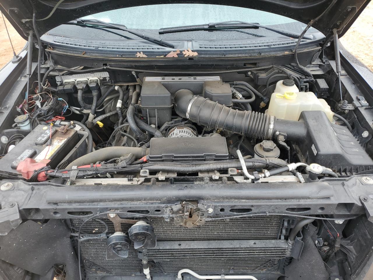 2013 Ford F150 Svt Raptor VIN: 1FTFW1R68DFC46626 Lot: 90605125