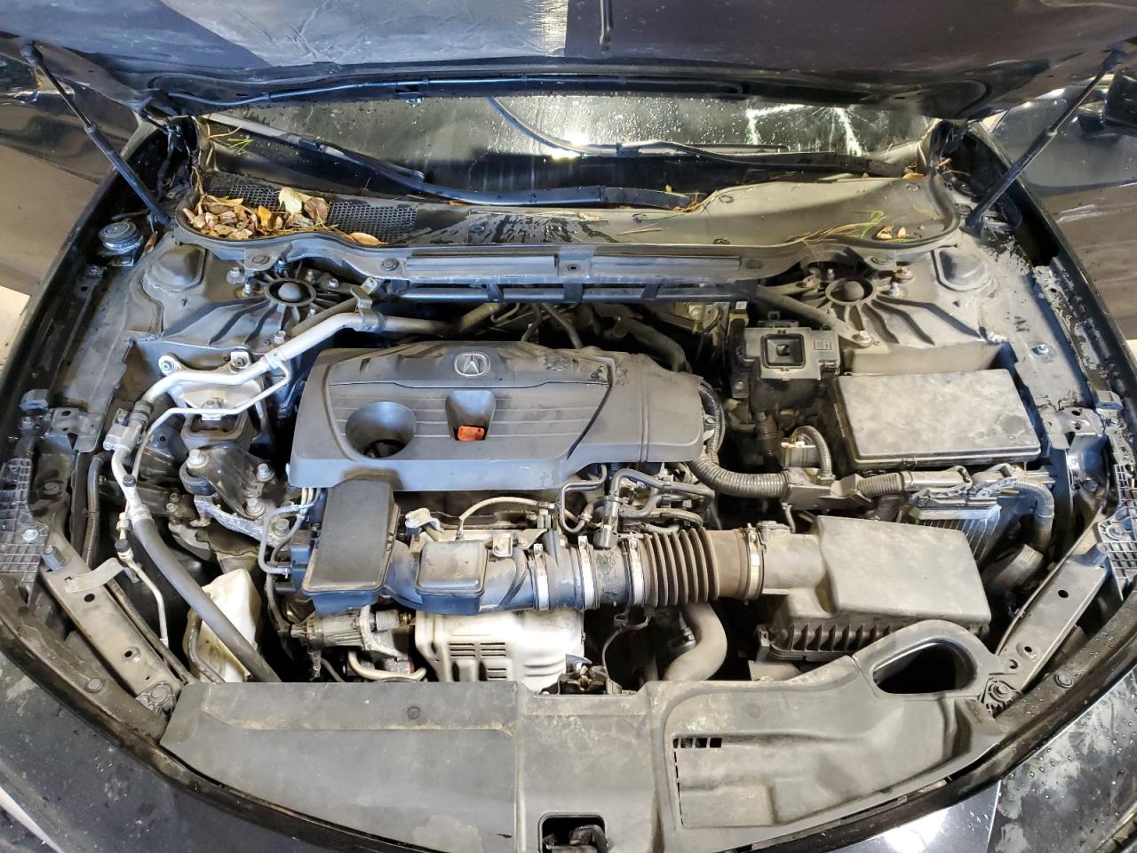 2021 Acura Tlx Tech A VIN: 19UUB5F56MA014935 Lot: 86449725