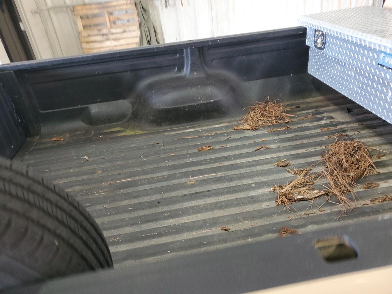 1985 Ford F150 VIN: 1FTDF15Y7FNA75147 Lot: 85775085