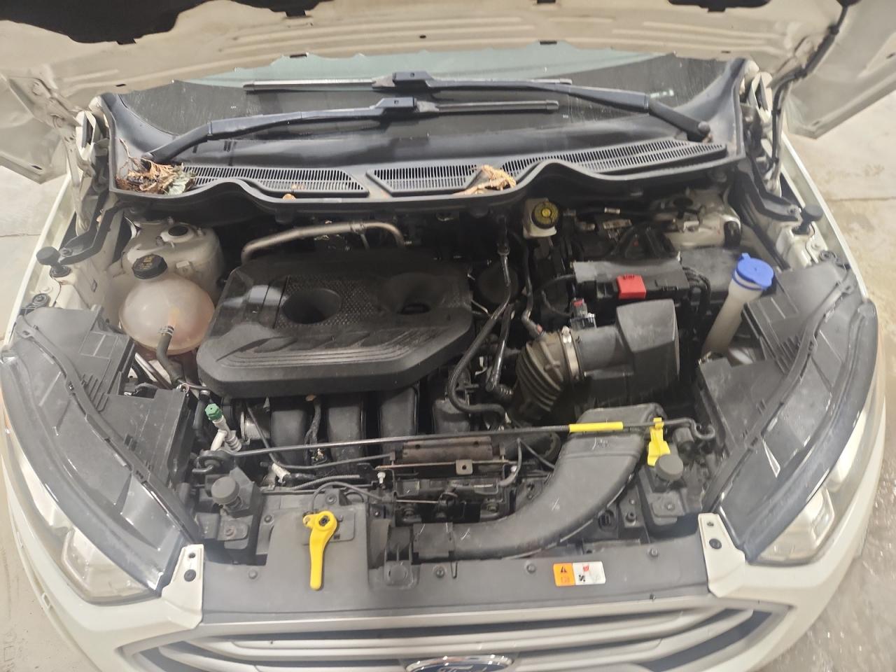 2019 Ford Ecosport Se VIN: MAJ6S3GL8KC266816 Lot: 87275395