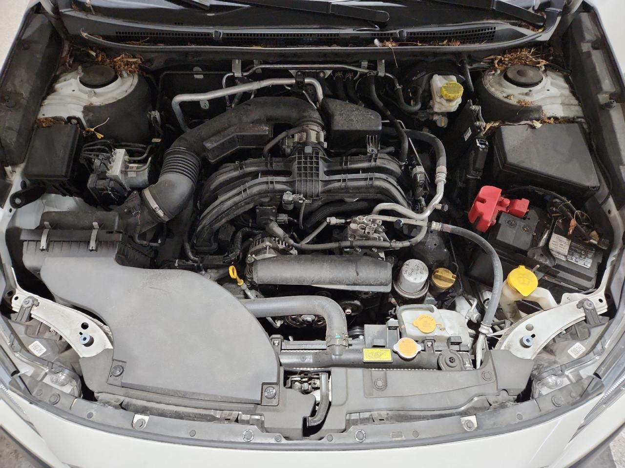 2022 Subaru Outback Limited VIN: 4S4BTANCXN3194109 Lot: 89701415