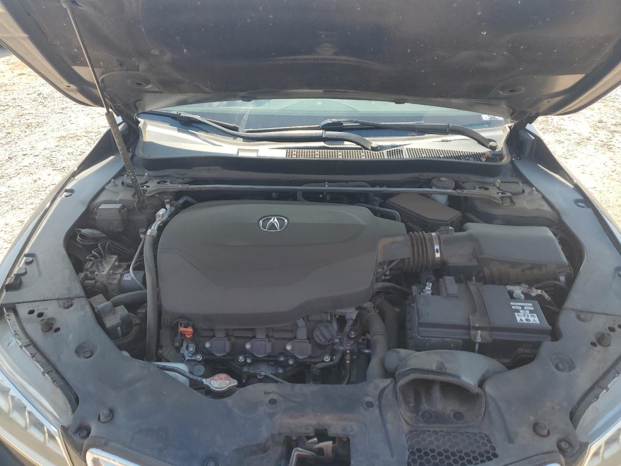 2016 Acura Tlx VIN: 19UUB2F36GA007355 Lot: 84201695