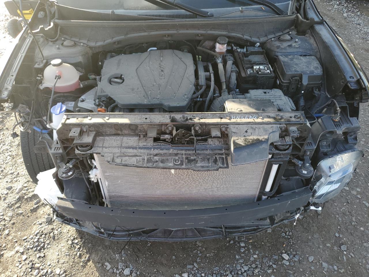 2022 Hyundai Santa Cruz Sel VIN: 5NTJBDAE4NH008002 Lot: 89905515