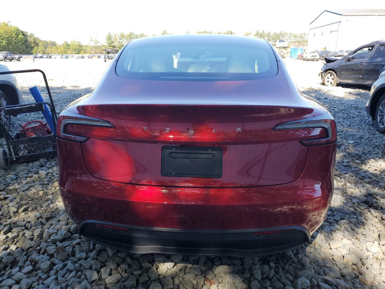 2025 Tesla Model 3 VIN: 5YJ3E1EA1SF077017 Lot: 84895695