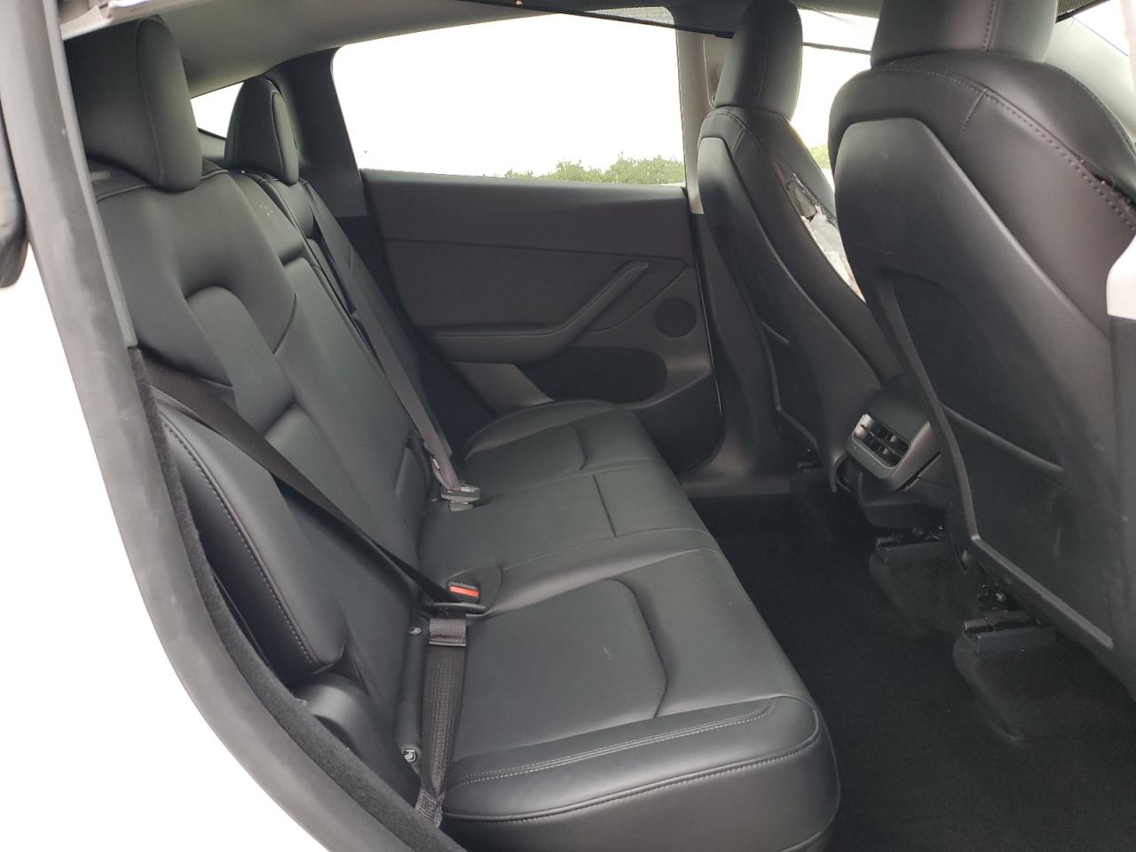 2024 Tesla Model Y VIN: 7SAYGDEE3RF031559 Lot: 86495325