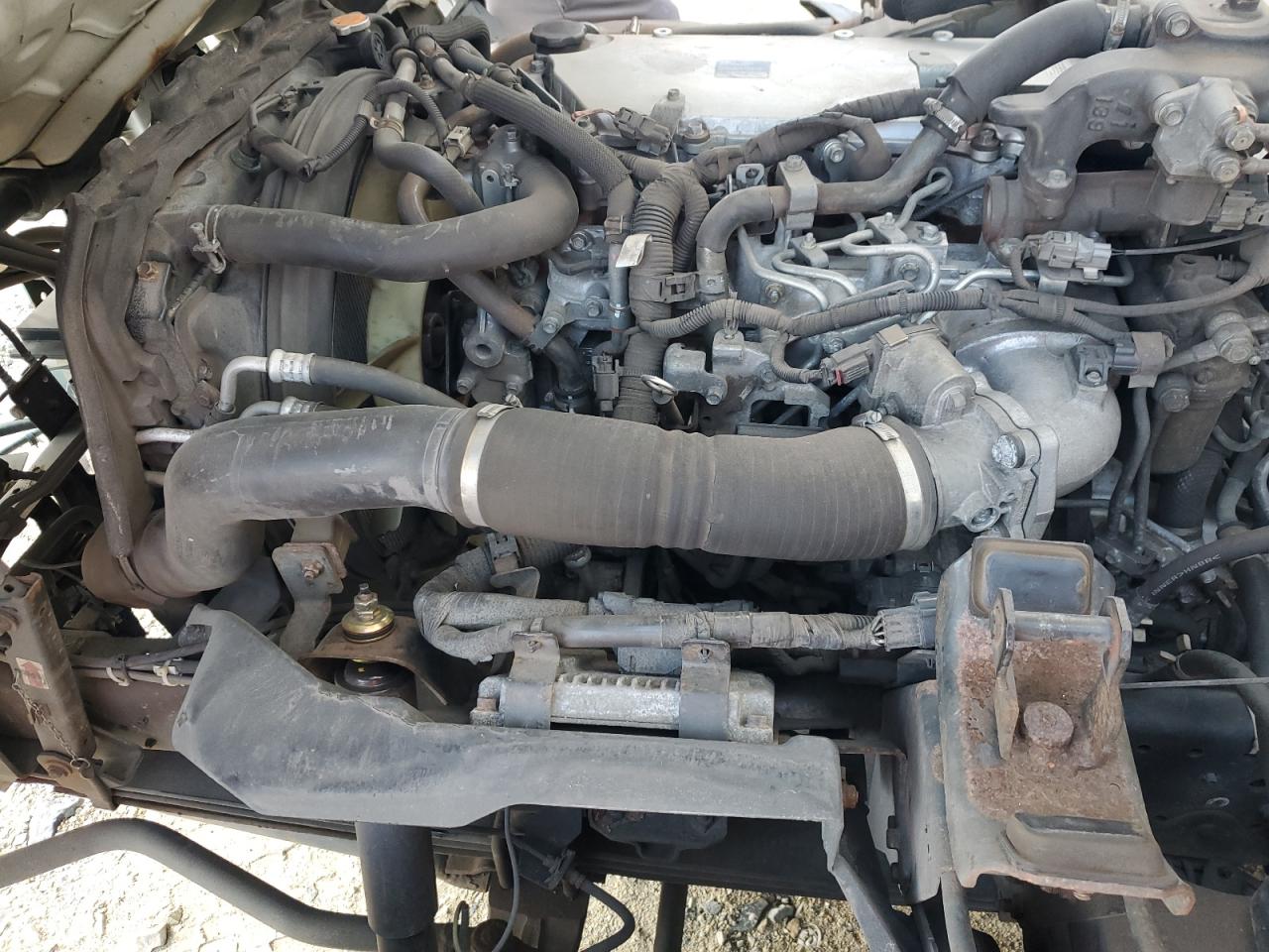 2019 Isuzu Nqr Refrigerated Delivery Truck VIN: JALE5W163K7900266 Lot: 82583935