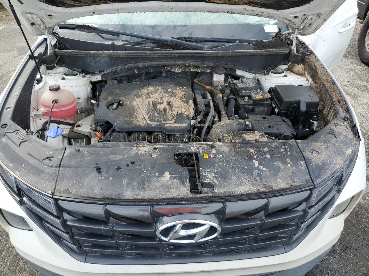 2023 Hyundai Tucson Sel VIN: 5NMJB3AE5PH226832 Lot: 85194385