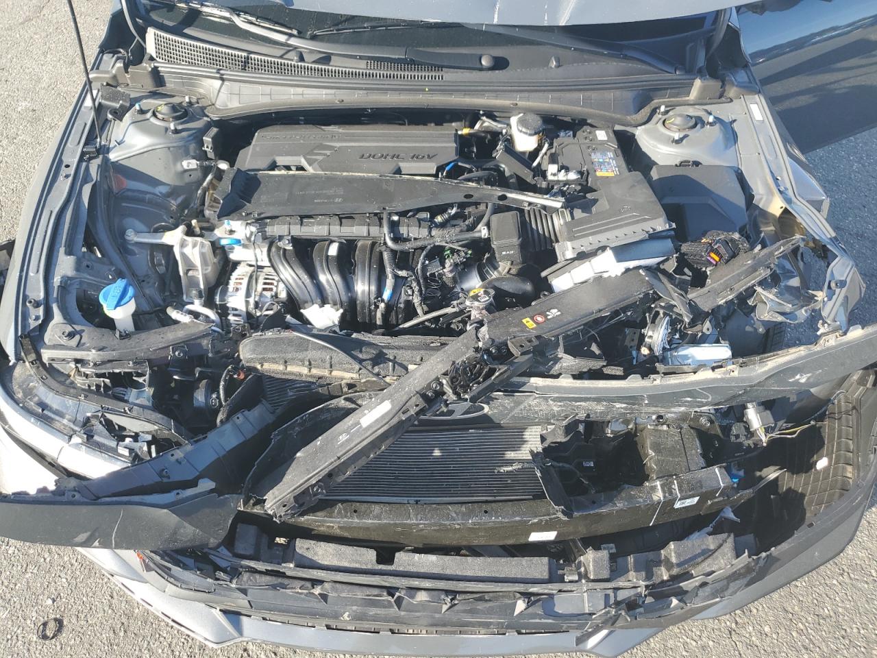 Elantra Elantra