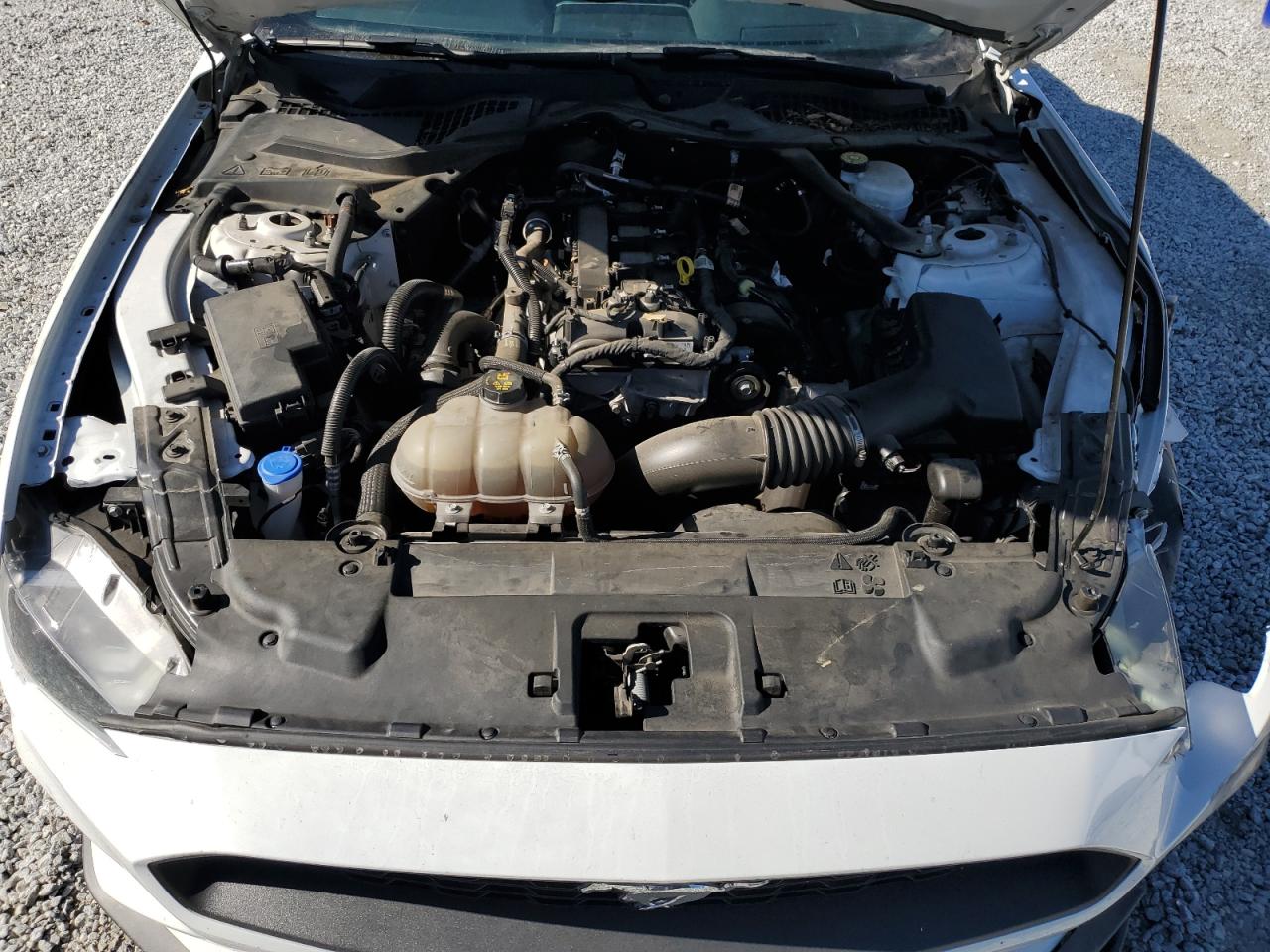 2022 Ford Mustang VIN: 1FATP8UH9N5118698 Lot: 82469805