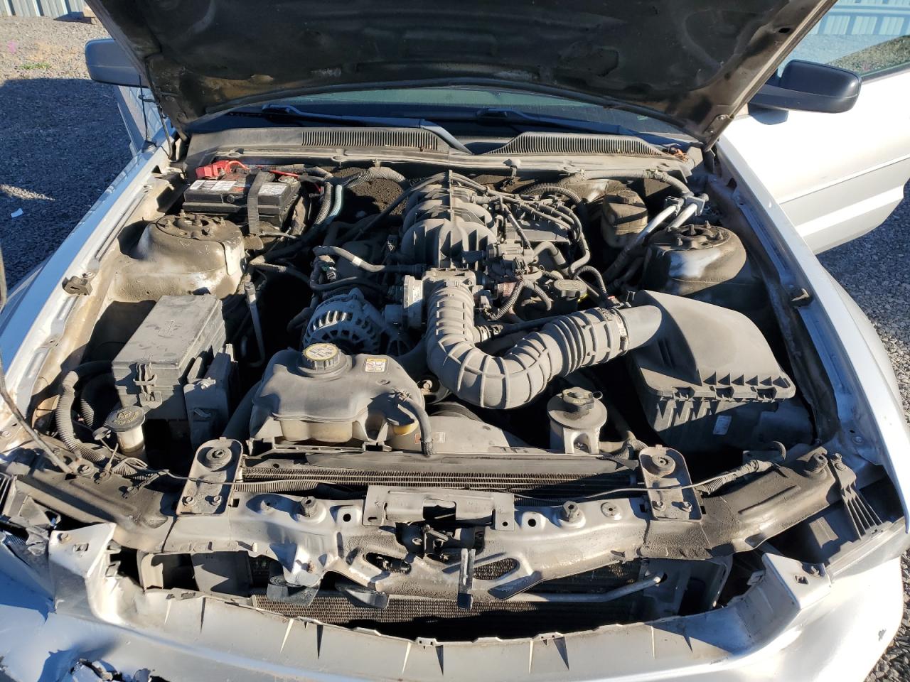 2007 Ford Mustang VIN: 1ZVFT84N175328186 Lot: 84607045