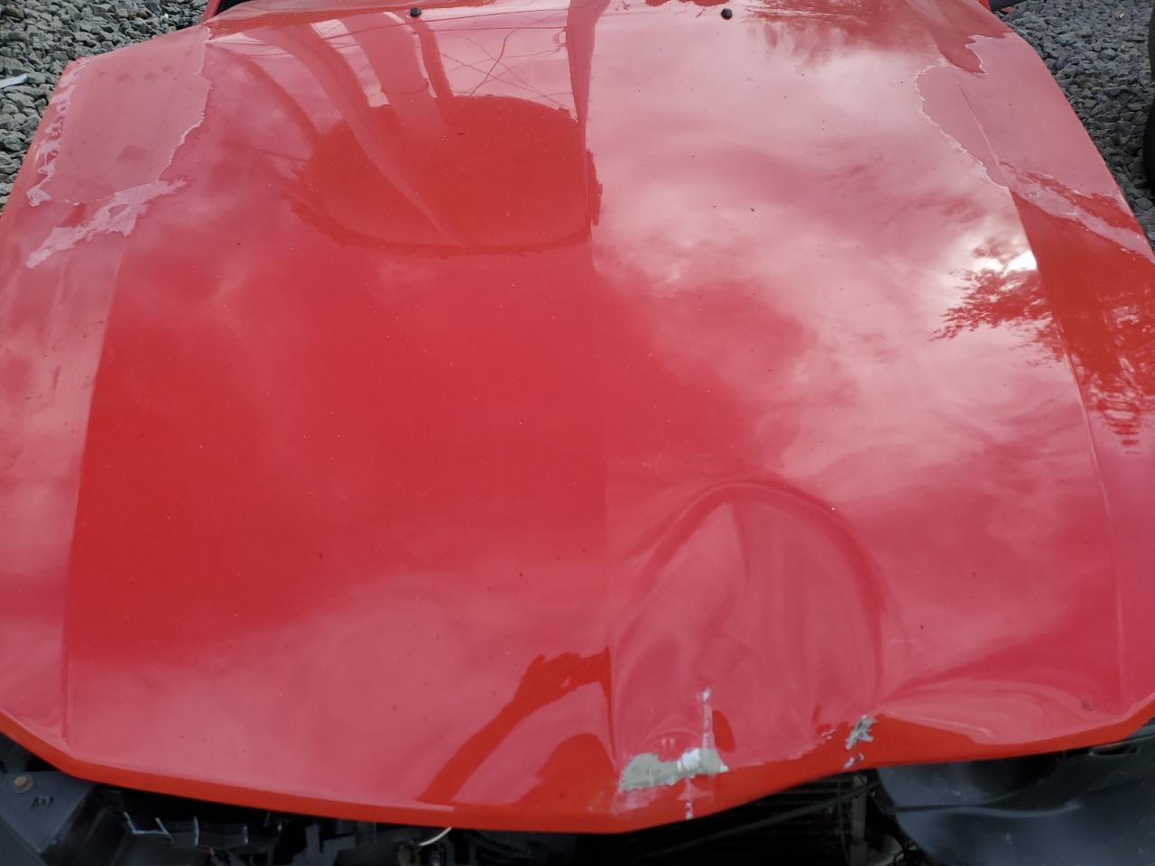 2006 Ford Mustang VIN: 1ZVFT80N165240212 Lot: 85565805