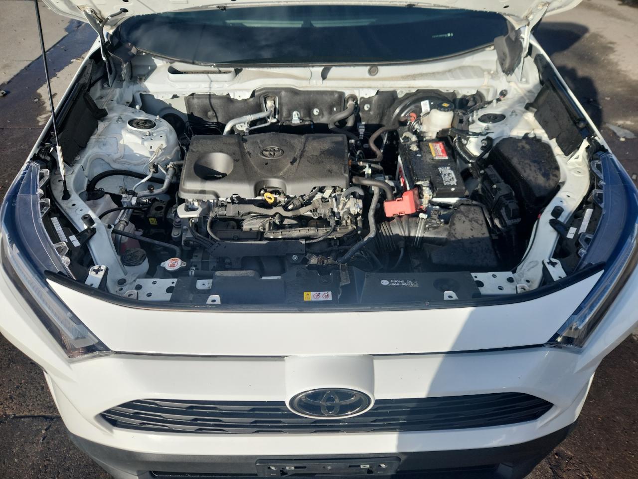 2022 Toyota Rav4 Xle VIN: 2T3P1RFV8NW309981 Lot: 83869275