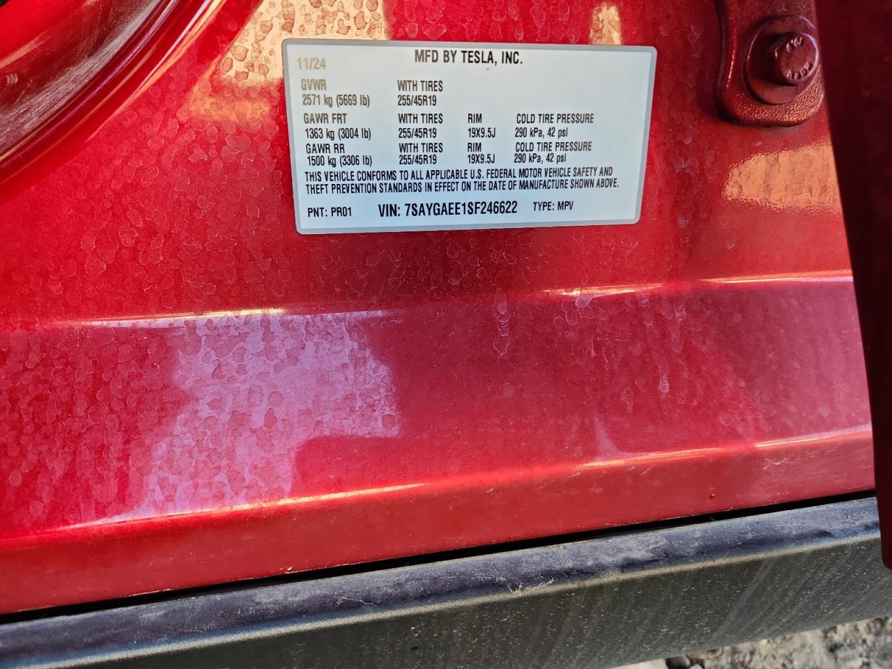 2025 Tesla Model Y VIN: 7SAYGAEE1SF246622 Lot: 90128885