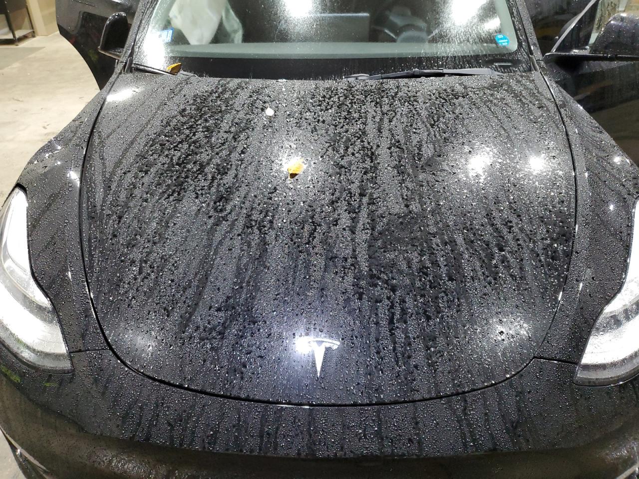 2022 Tesla Model Y VIN: 7SAYGAEE5NF426643 Lot: 90807855