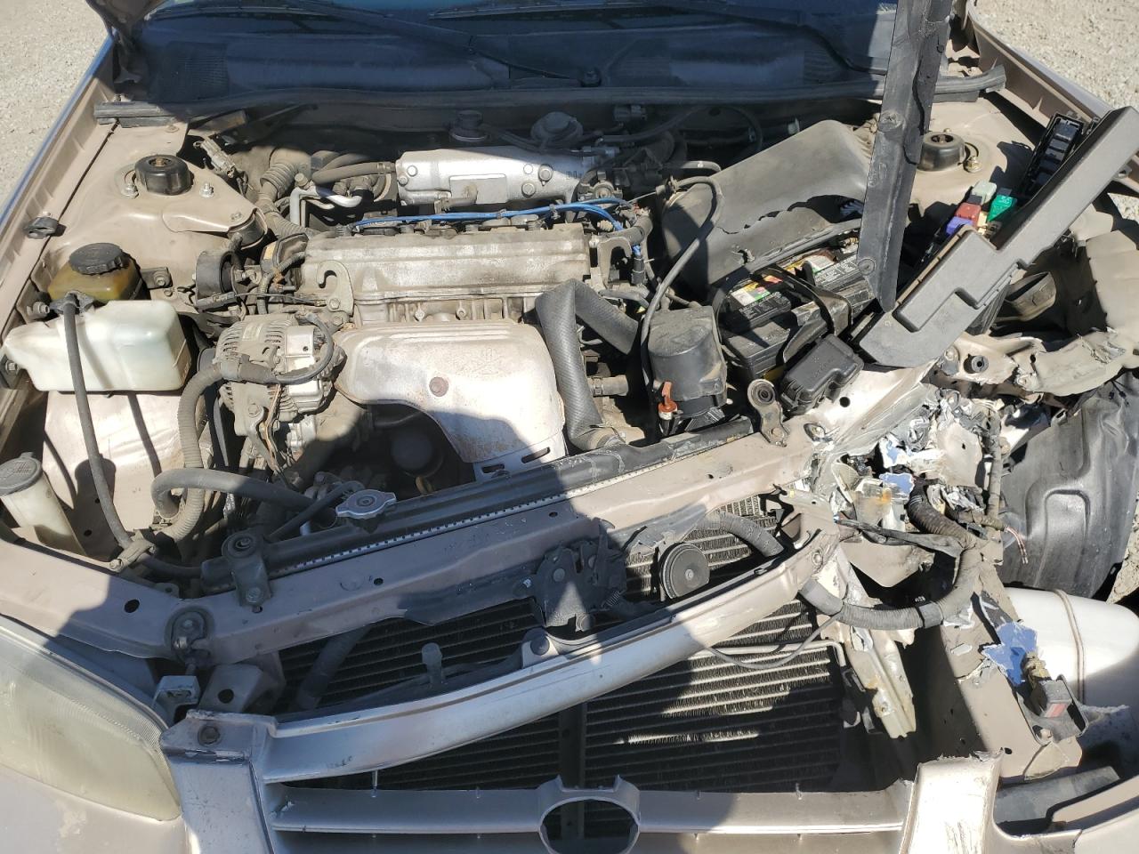 1999 Toyota Camry Le VIN: JT2BG22K3X0280093 Lot: 90652945