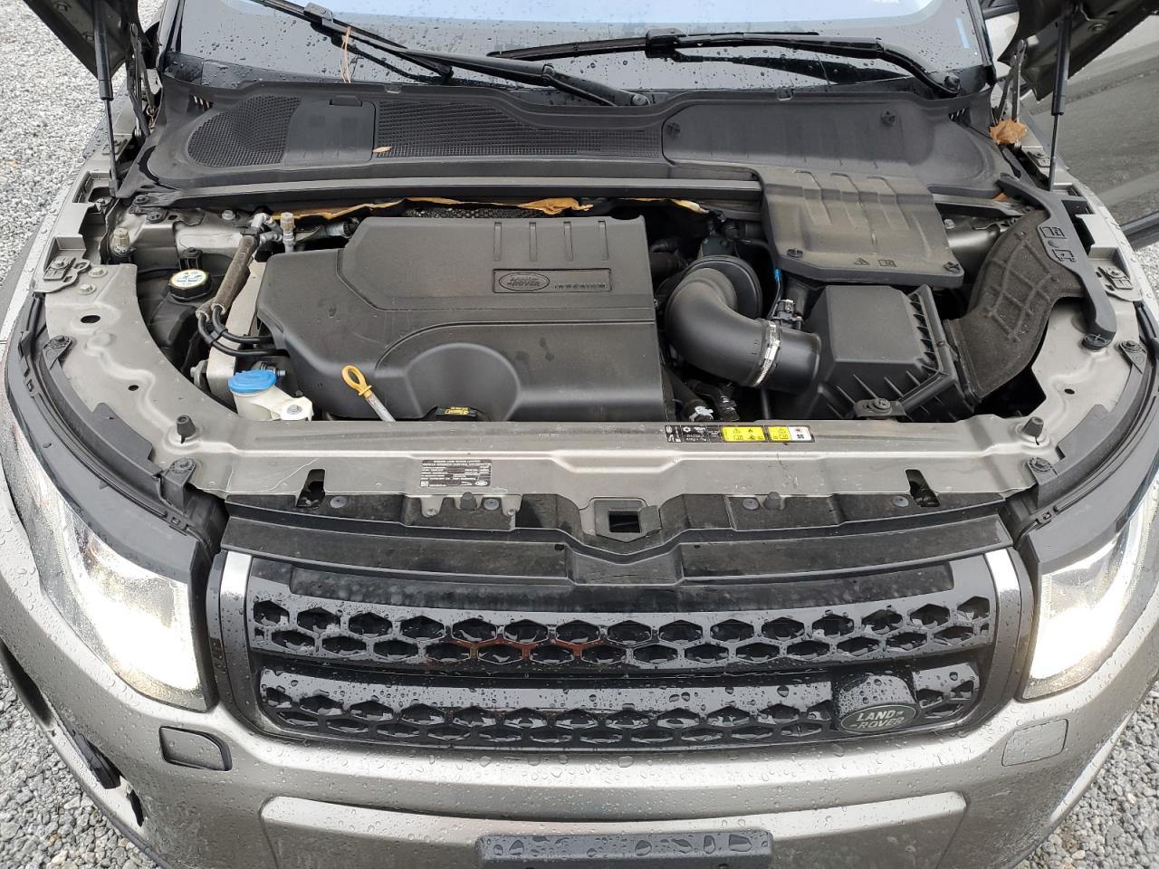 2019 Land Rover Range Rover Evoque Se VIN: SALVP2RXXKH342792 Lot: 90248735