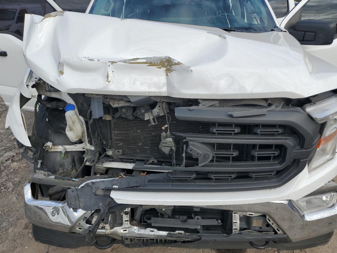 2021 Ford F150 Supercrew VIN: 1FTFW1E88MKD23509 Lot: 90098665