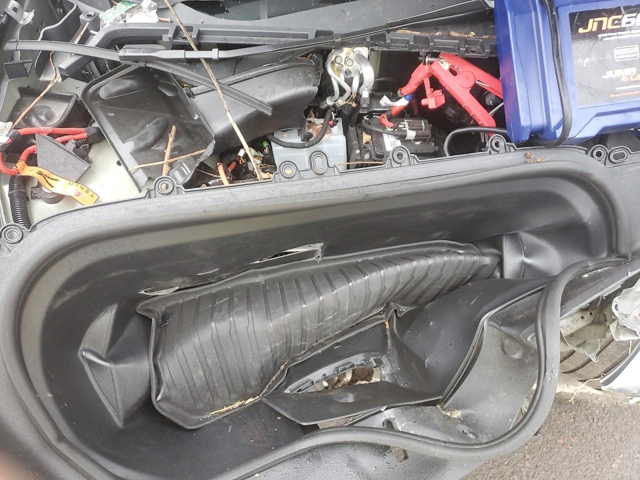 2025 Tesla Model Y VIN: 7SAYGAEE0SF222652 Lot: 86337085