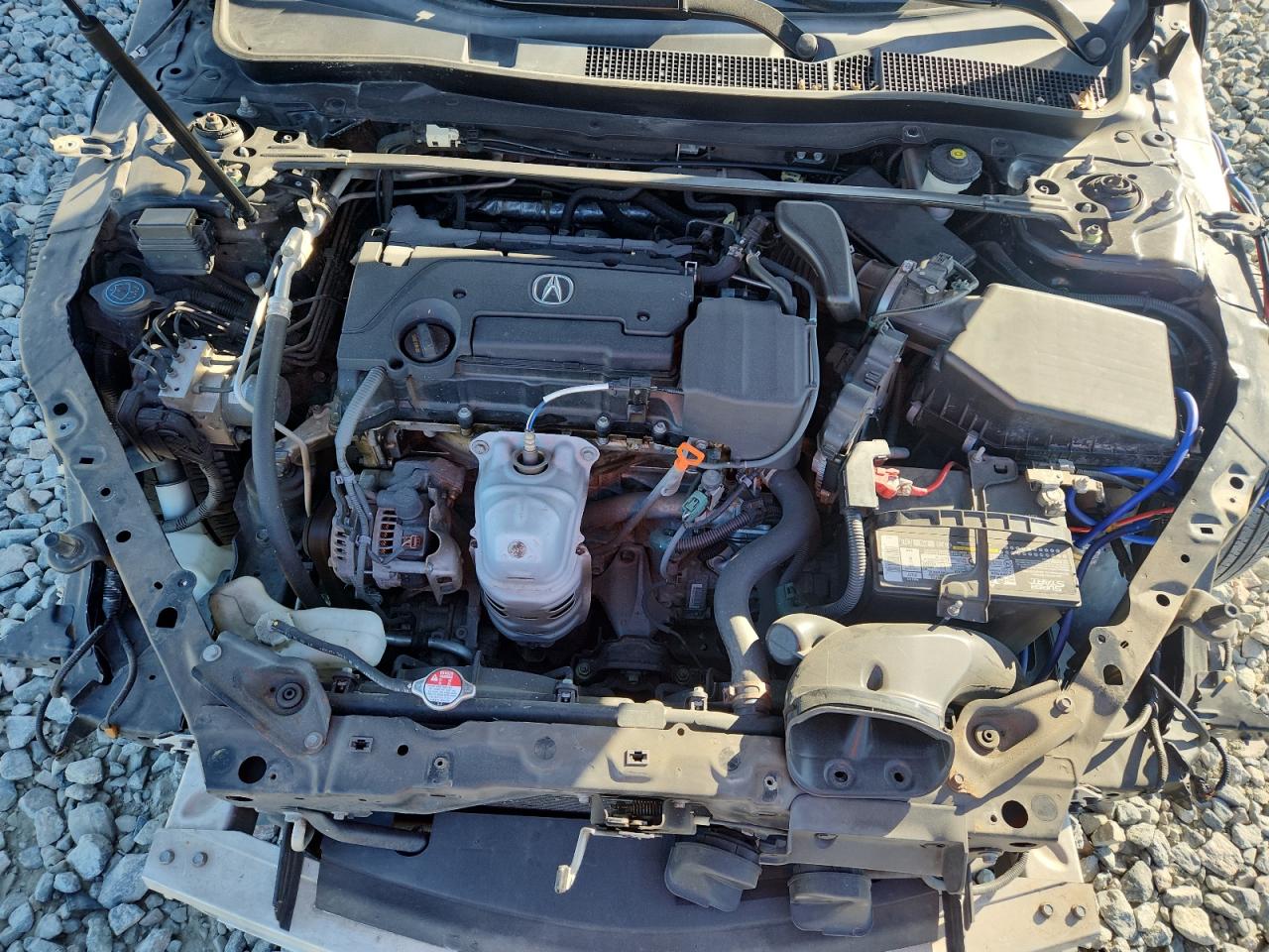 2017 Acura Tlx VIN: 19UUB1F31HA002186 Lot: 82484405