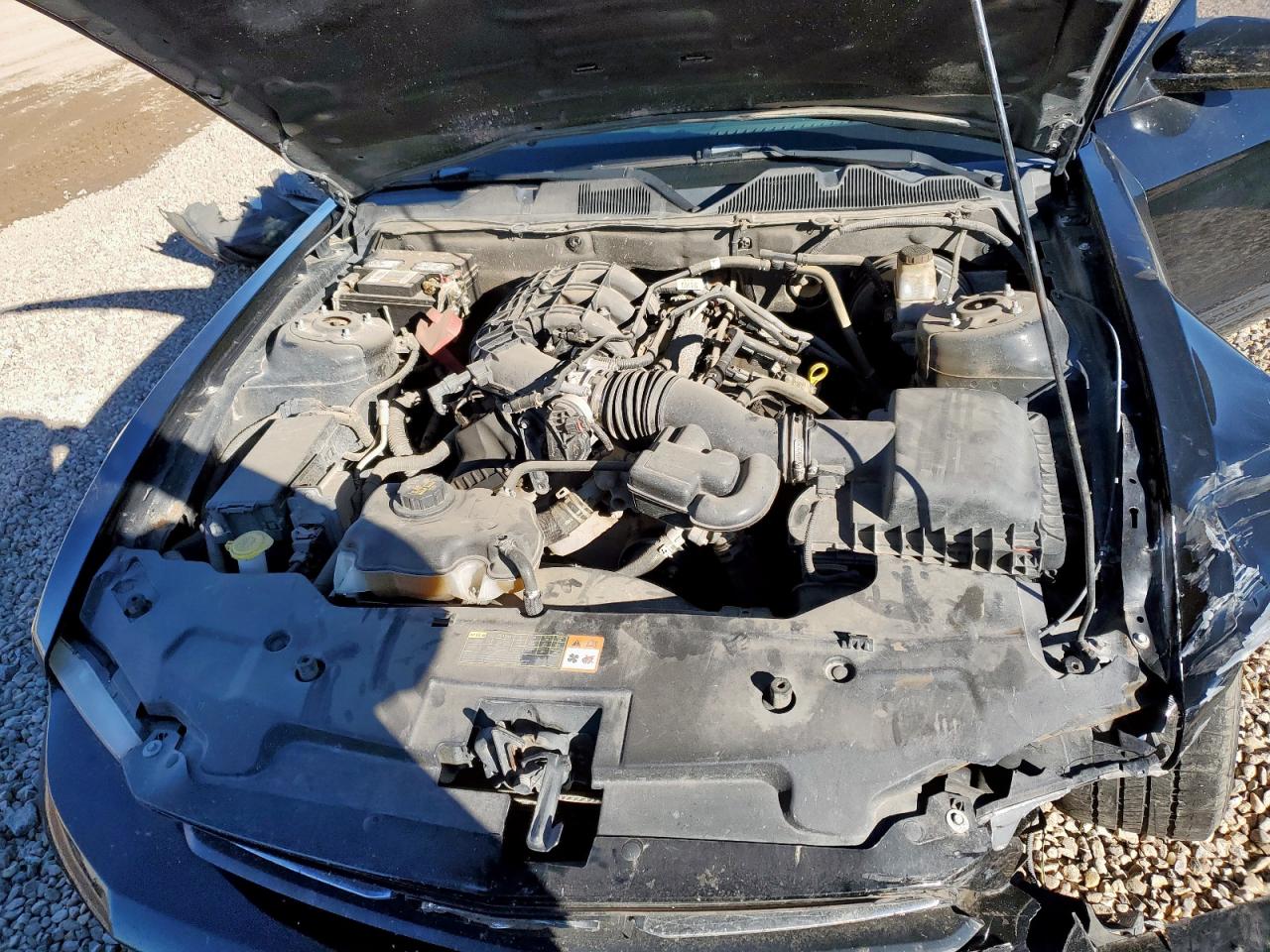 2011 Ford Mustang VIN: 1ZVBP8AM5B5103390 Lot: 90462875