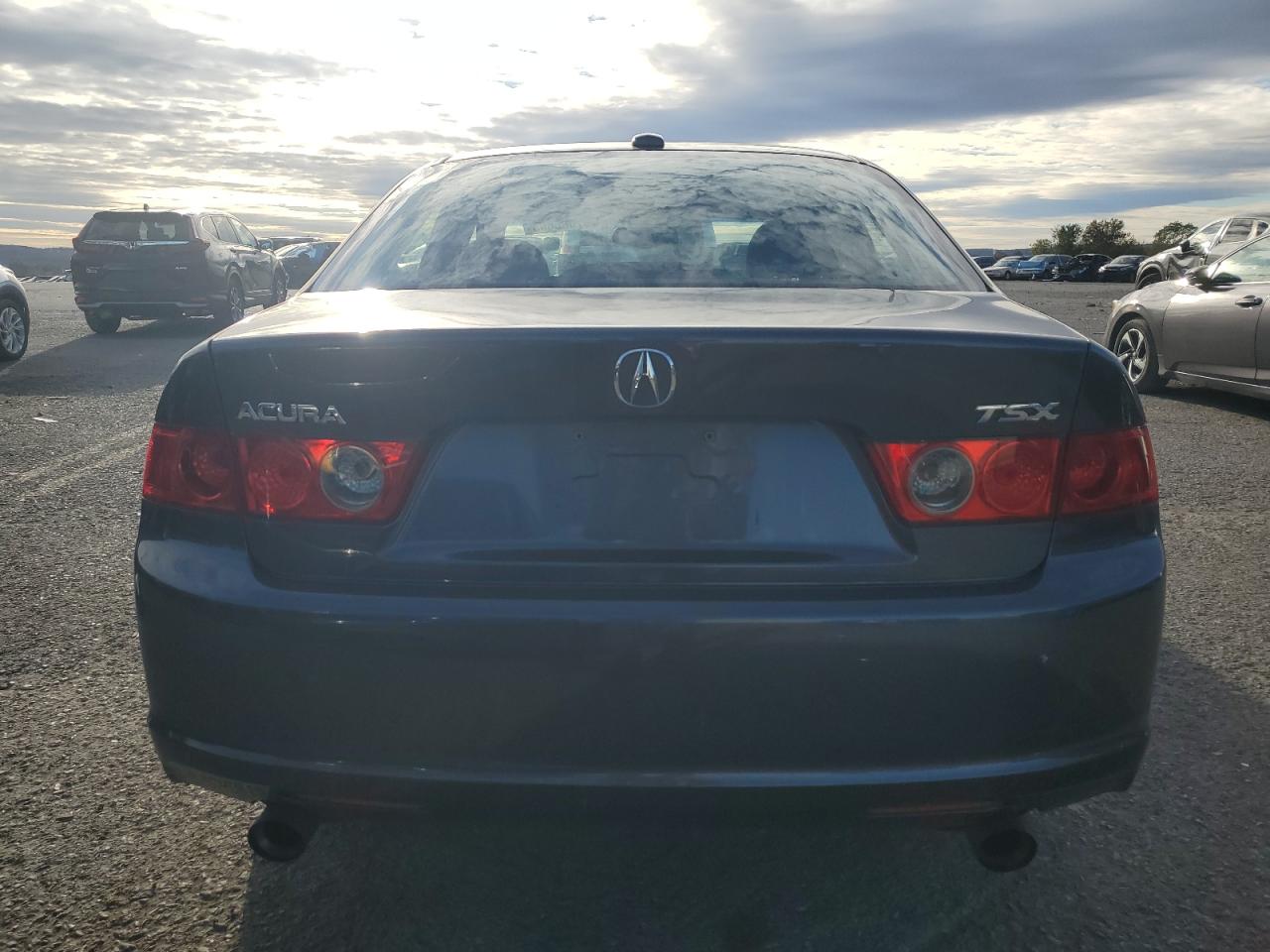 2006 Acura Tsx VIN: JH4CL96936C022854 Lot: 87088605