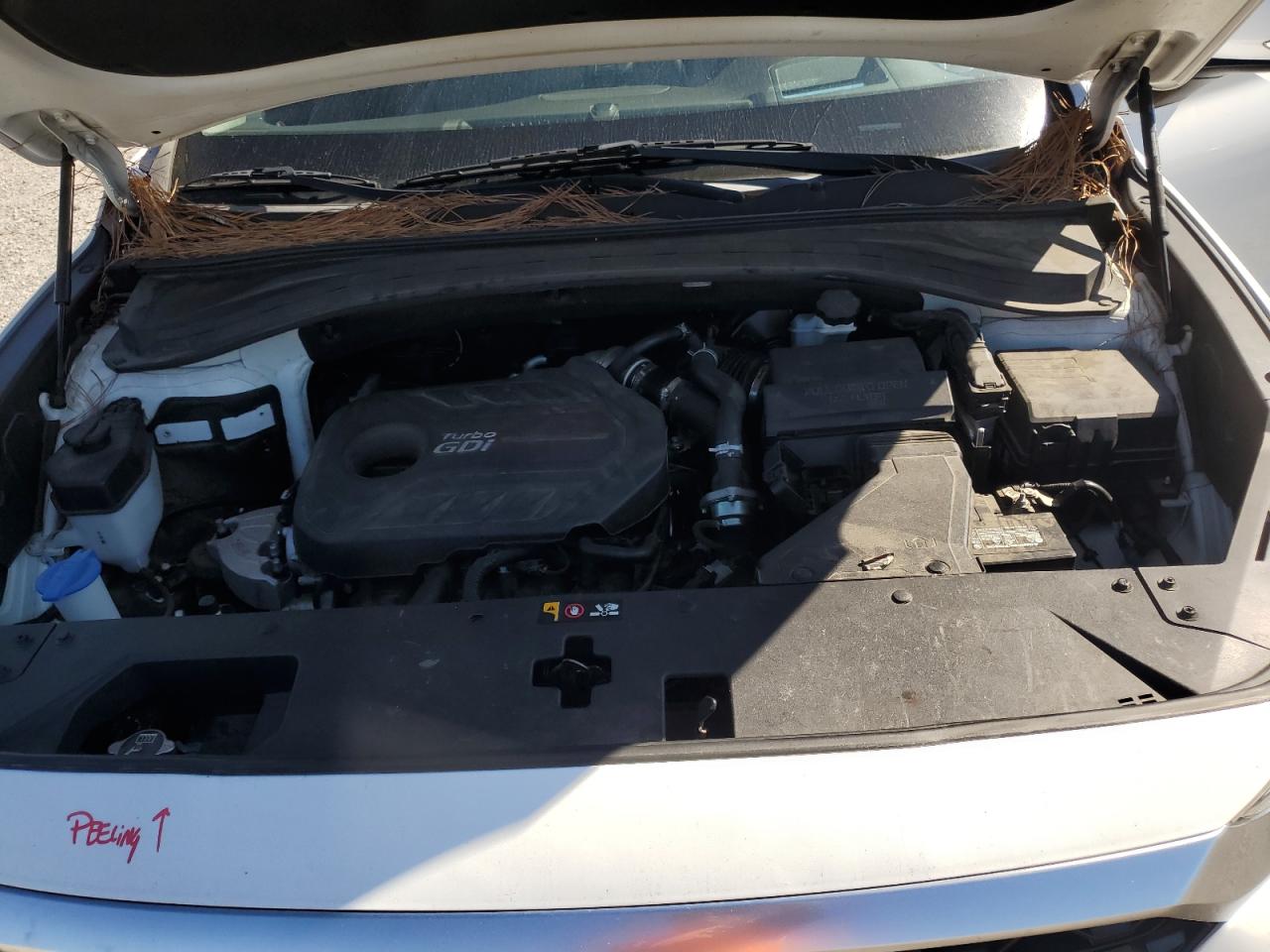 2019 Hyundai Santa Fe Limited VIN: 5NMS53AA7KH017481 Lot: 87431425