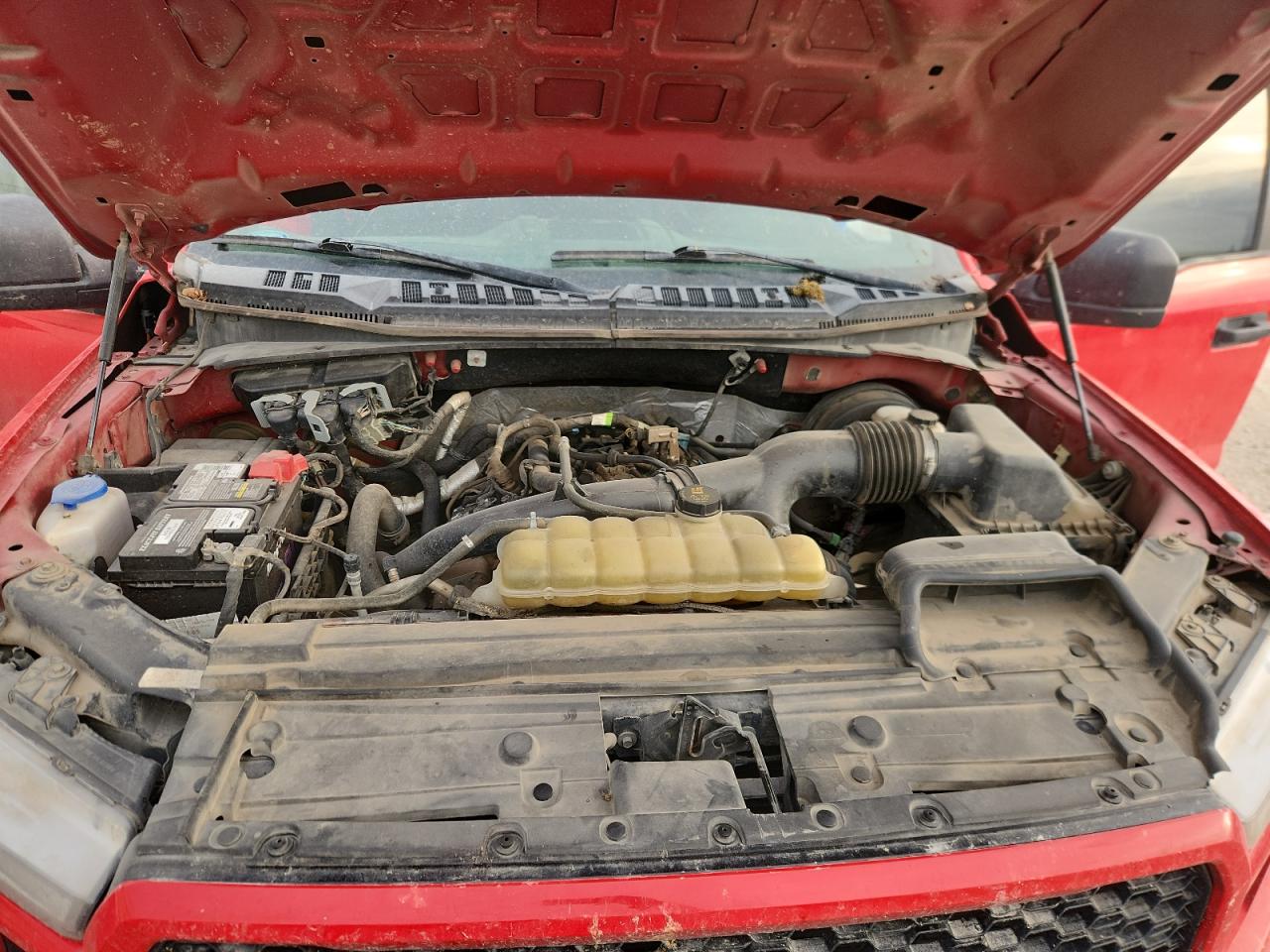 2019 Ford F150 Supercrew VIN: 1FTEW1CP6KKD25214 Lot: 86066385