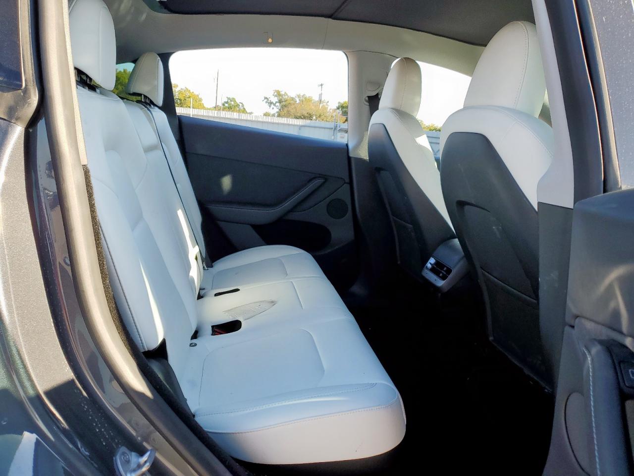 2023 Tesla Model Y VIN: 7SAYGDEE2PA117519 Lot: 86185655