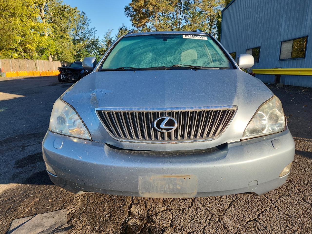 2007 Lexus Rx 350 VIN: JTJHK31U972026771 Lot: 82385955