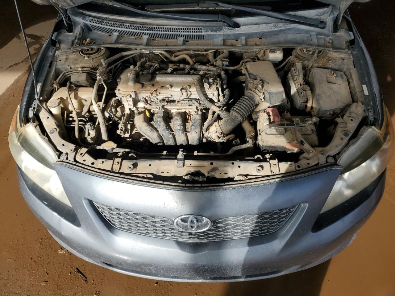 2010 Toyota Corolla Base VIN: 1NXBU4EE5AZ224556 Lot: 85944275