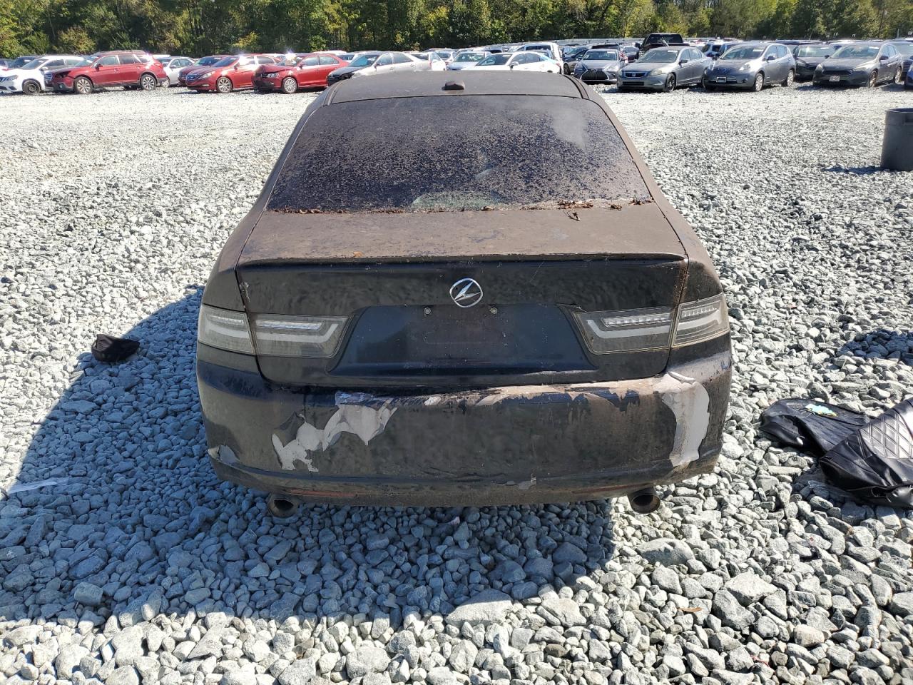 2008 Acura Tsx VIN: JH4CL96808C005066 Lot: 82225715