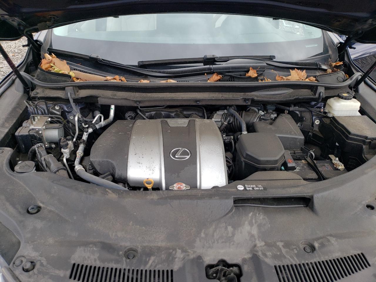 2021 Lexus Rx 350 VIN: 2T2HZMAAXMC213116 Lot: 86677295