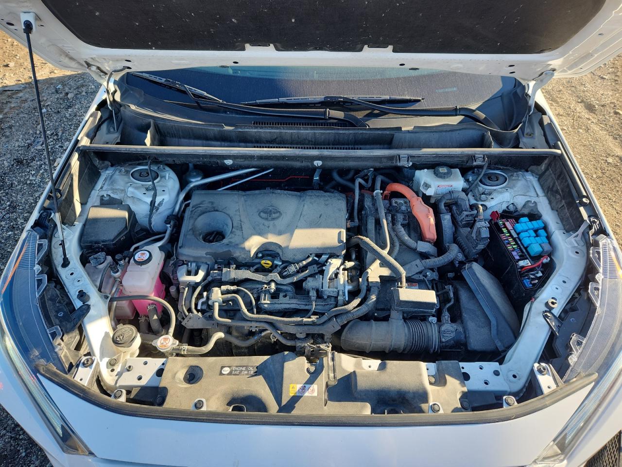 2021 Toyota Rav4 Xle VIN: JTMRWRFV1MD125049 Lot: 82257145