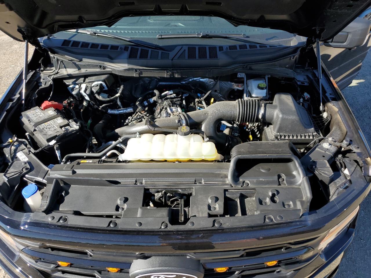 2025 Ford F150 Xlt VIN: 1FTEW3LP2SFA84224 Lot: 84619975