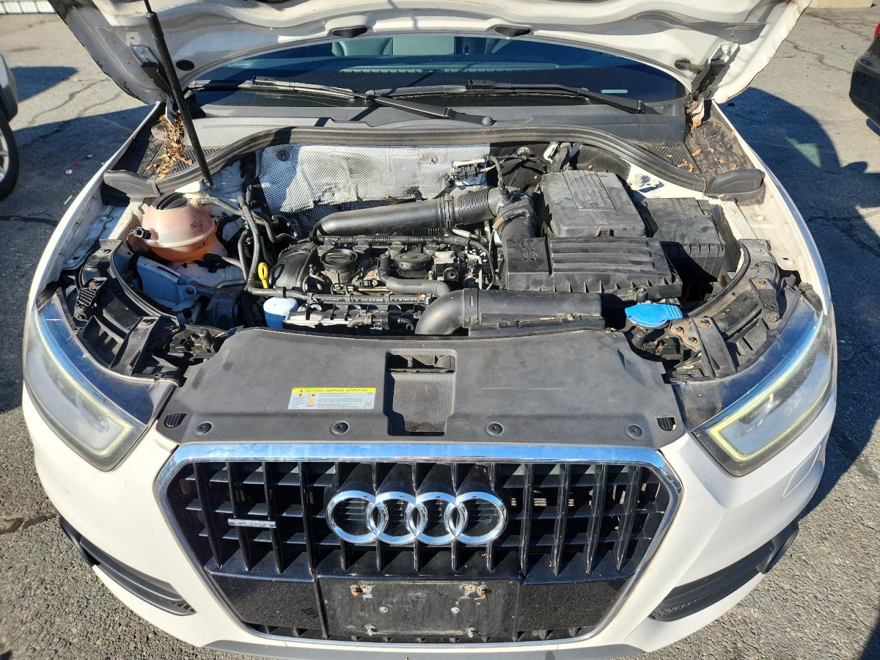 2015 Audi Q3 Premium Plus VIN: WA1EFCFS2FR010736 Lot: 86445405