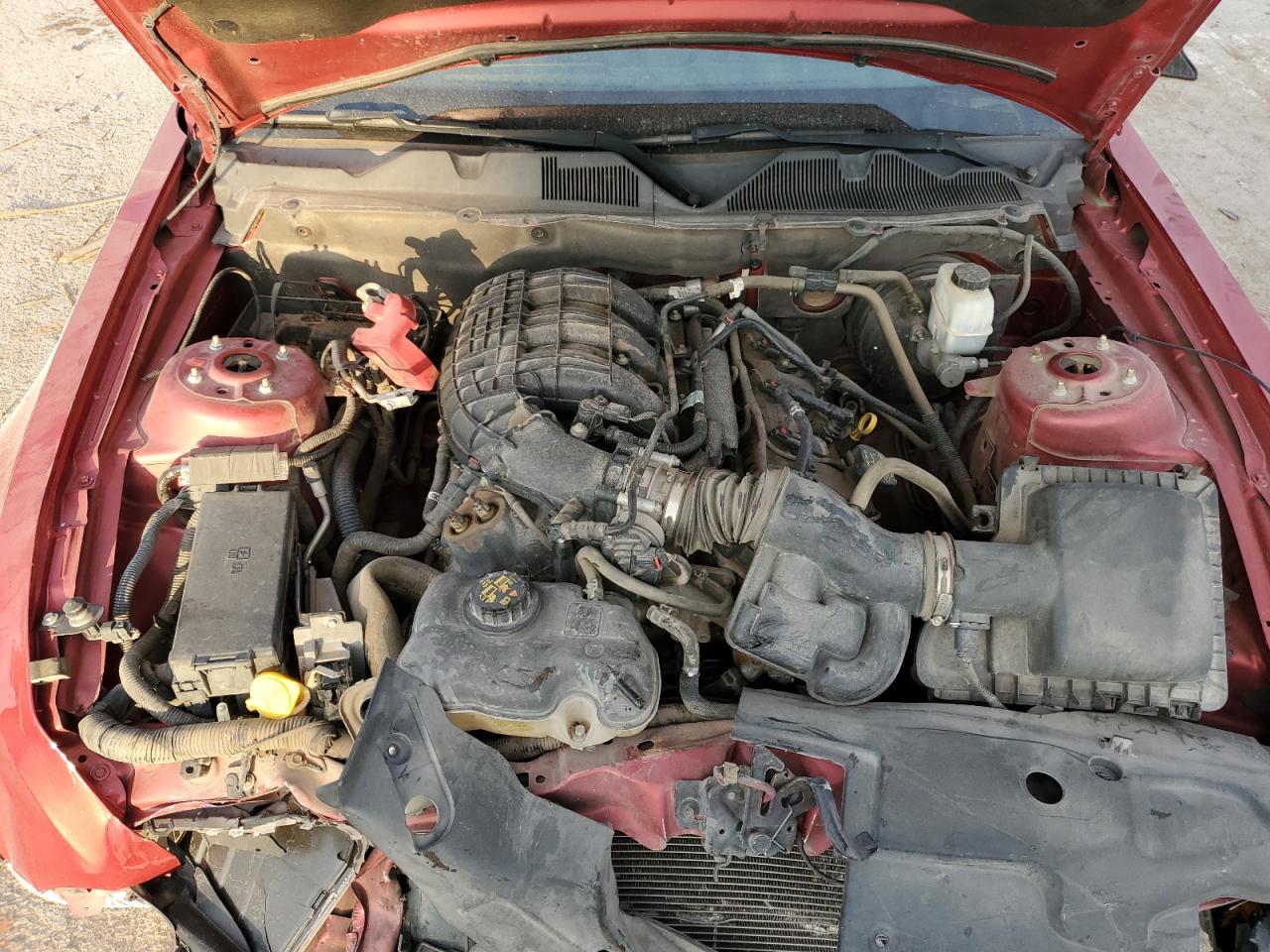 2011 Ford Mustang VIN: 1ZVBP8AM5B5110730 Lot: 81997585