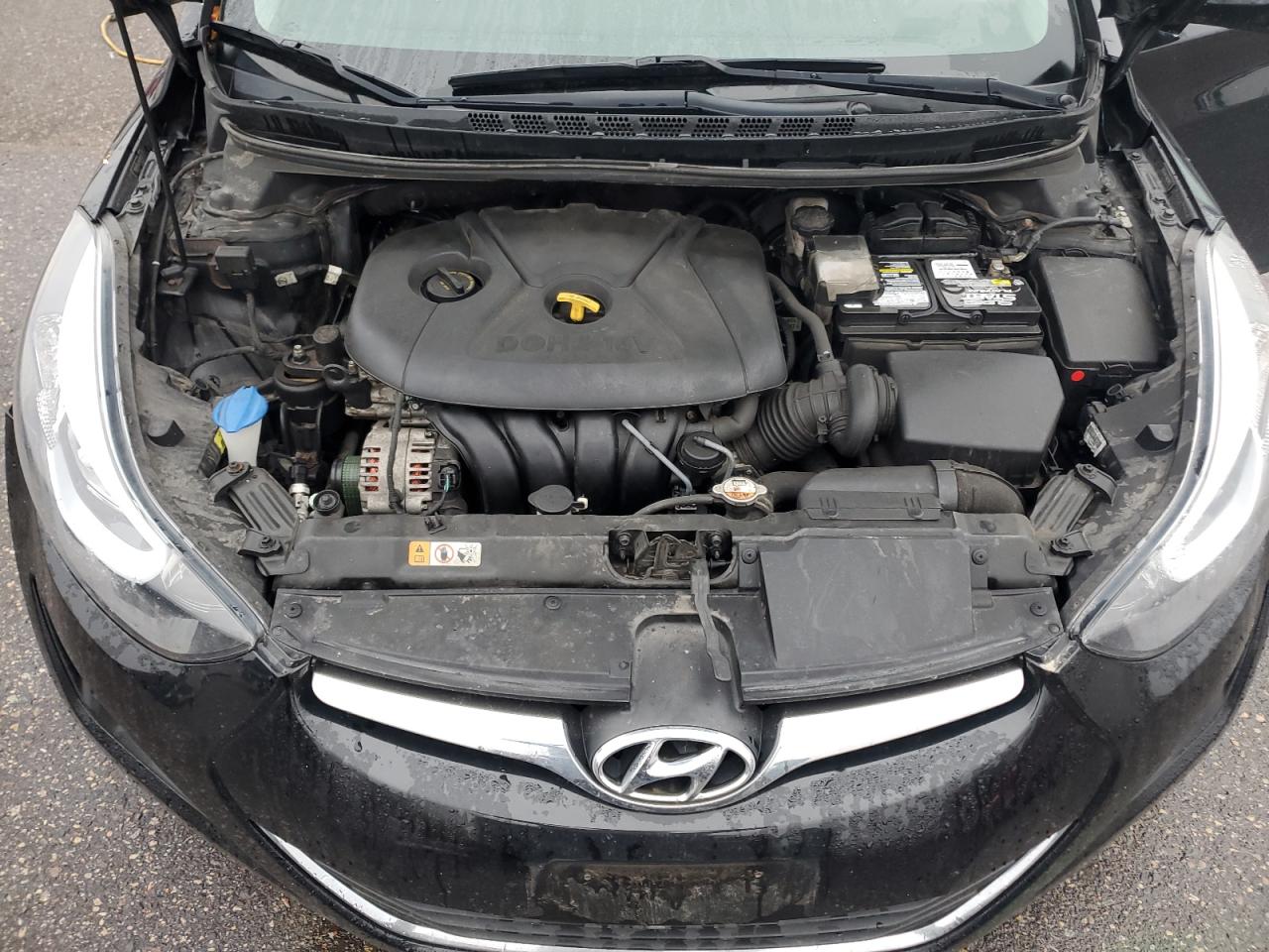 Elantra Elantra