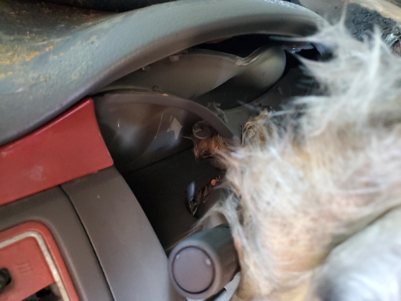 2009 Ford Flex Sel VIN: 2FMDK52C89BA12937 Lot: 82662745