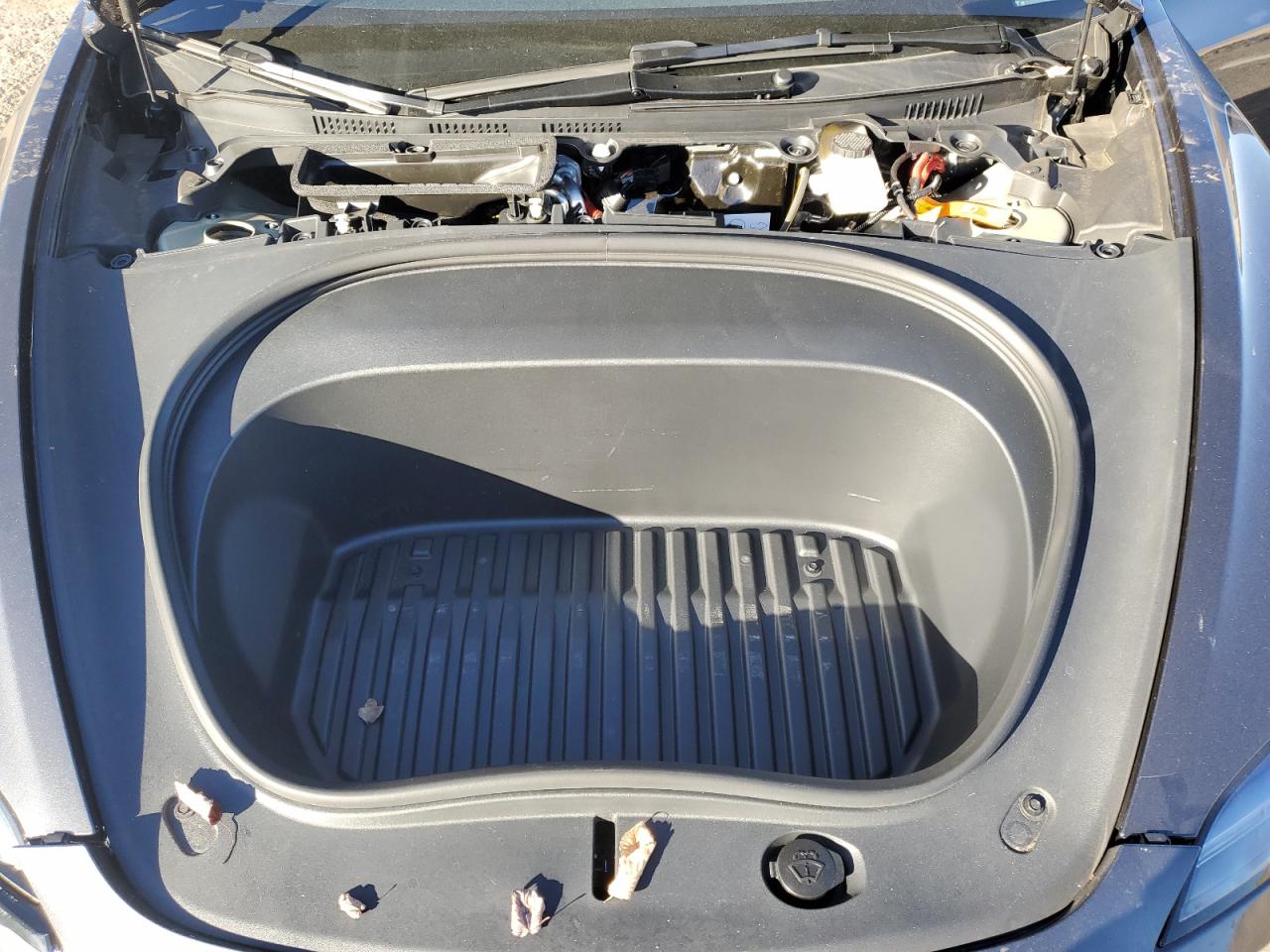 2025 Tesla Model 3 VIN: 5YJ3E1EB0SF998511 Lot: 87213685