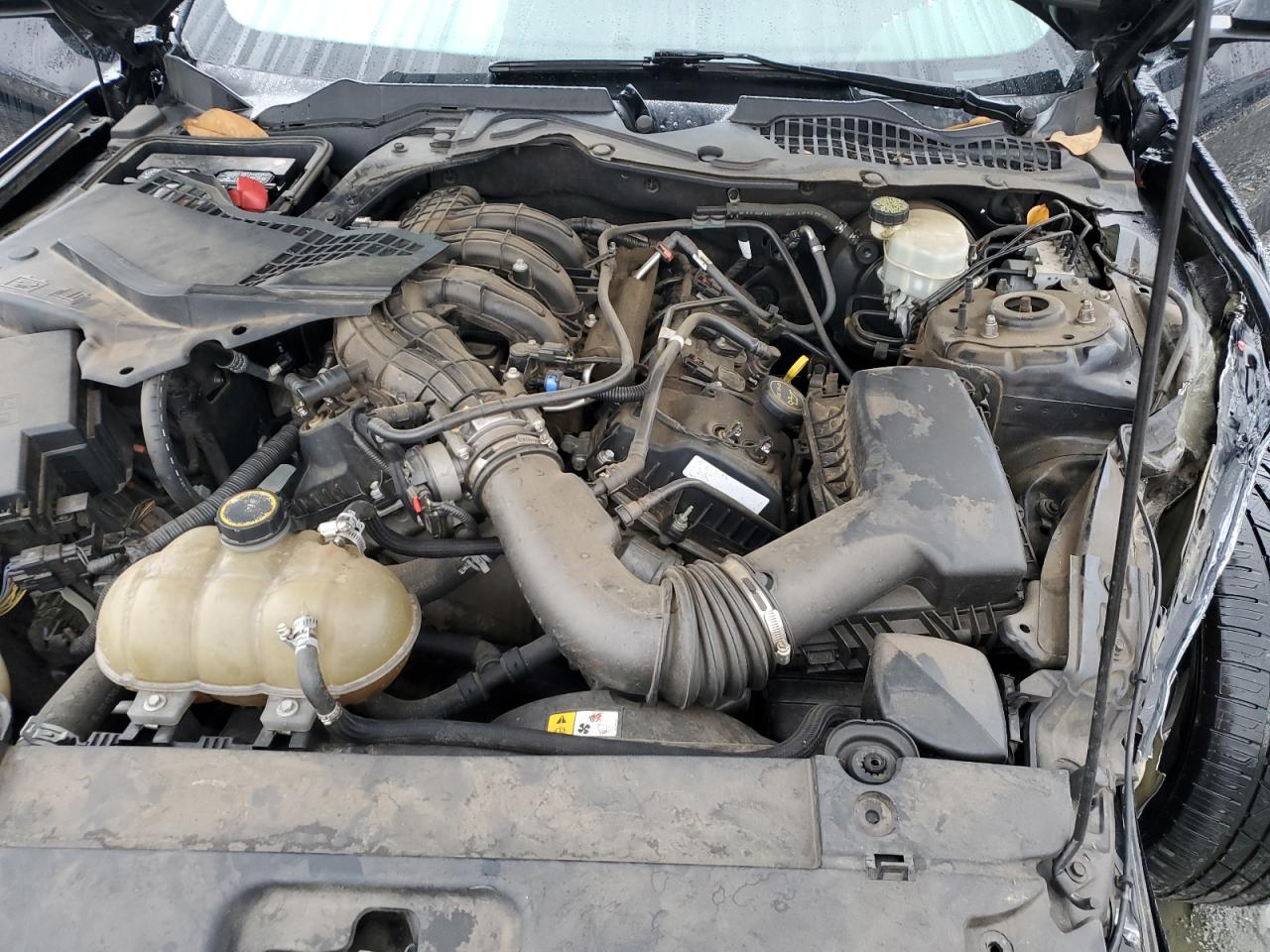 2016 Ford Mustang VIN: 1FA6P8AM0G5288966 Lot: 90445945