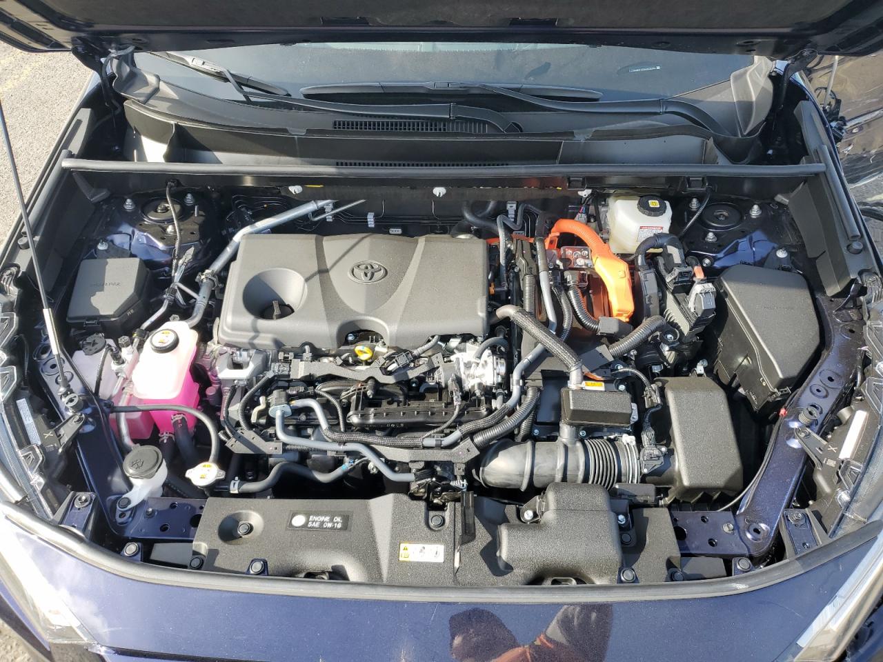 2025 Toyota Rav4 Xle VIN: JTMRWRFV5SD602000 Lot: 85169965