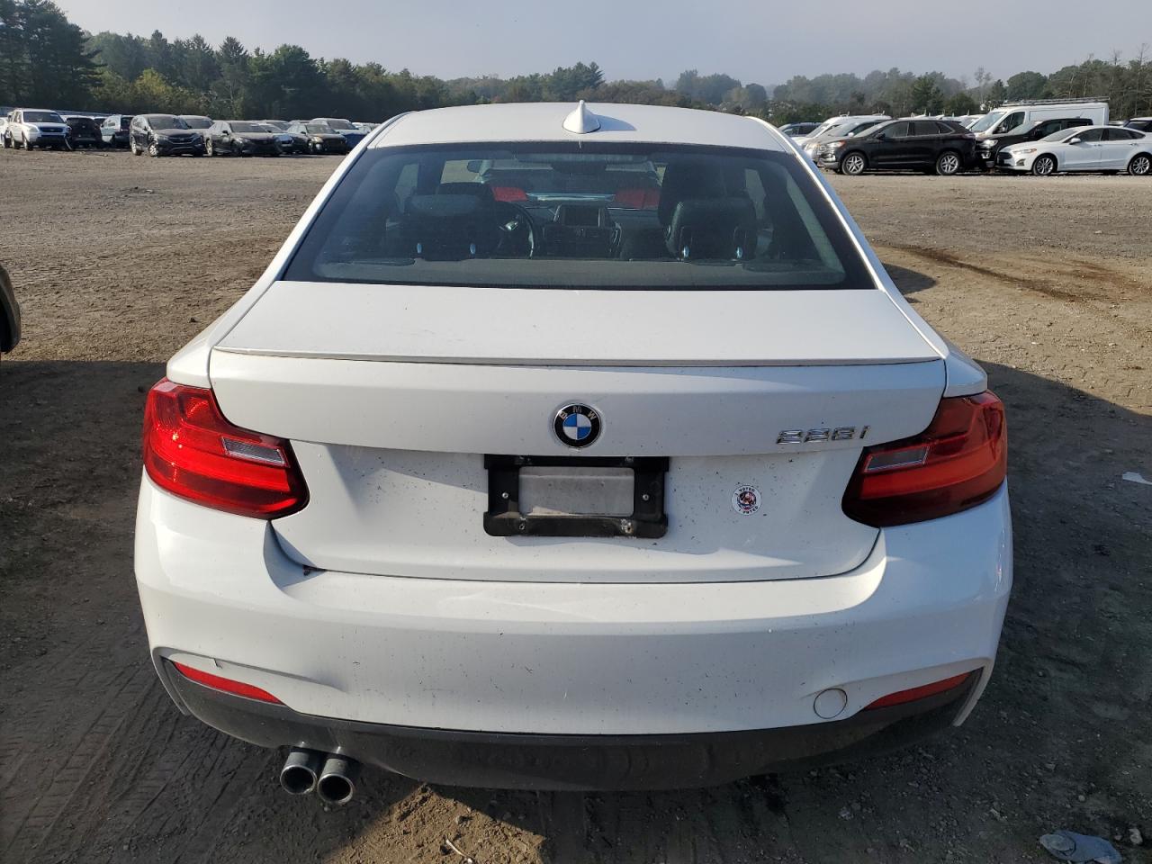 2016 BMW 228 I VIN: WBA1F5C52GV343751 Lot: 85334525