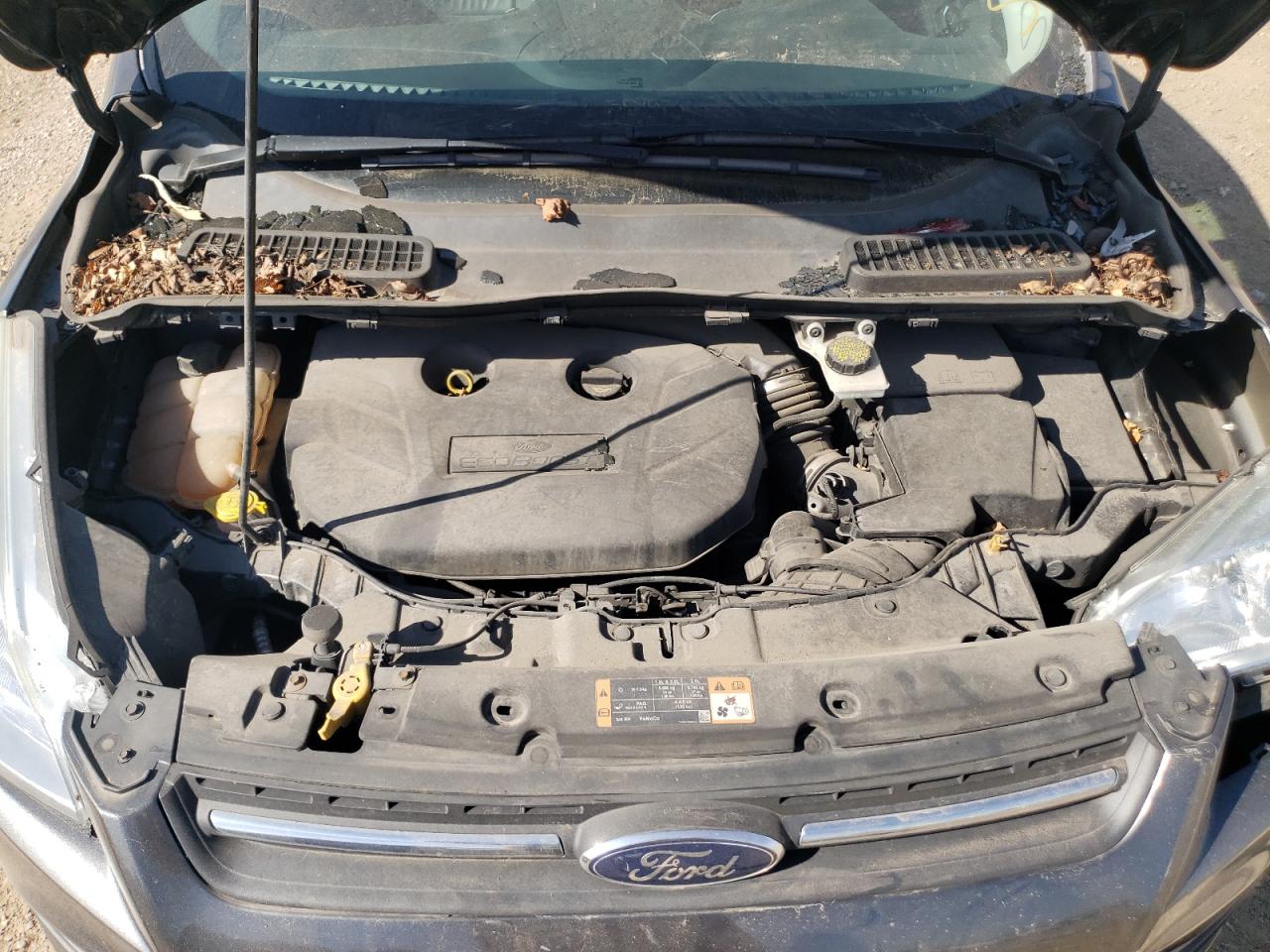 2016 Ford Escape Se VIN: 1FMCU9G98GUB91062 Lot: 81962225