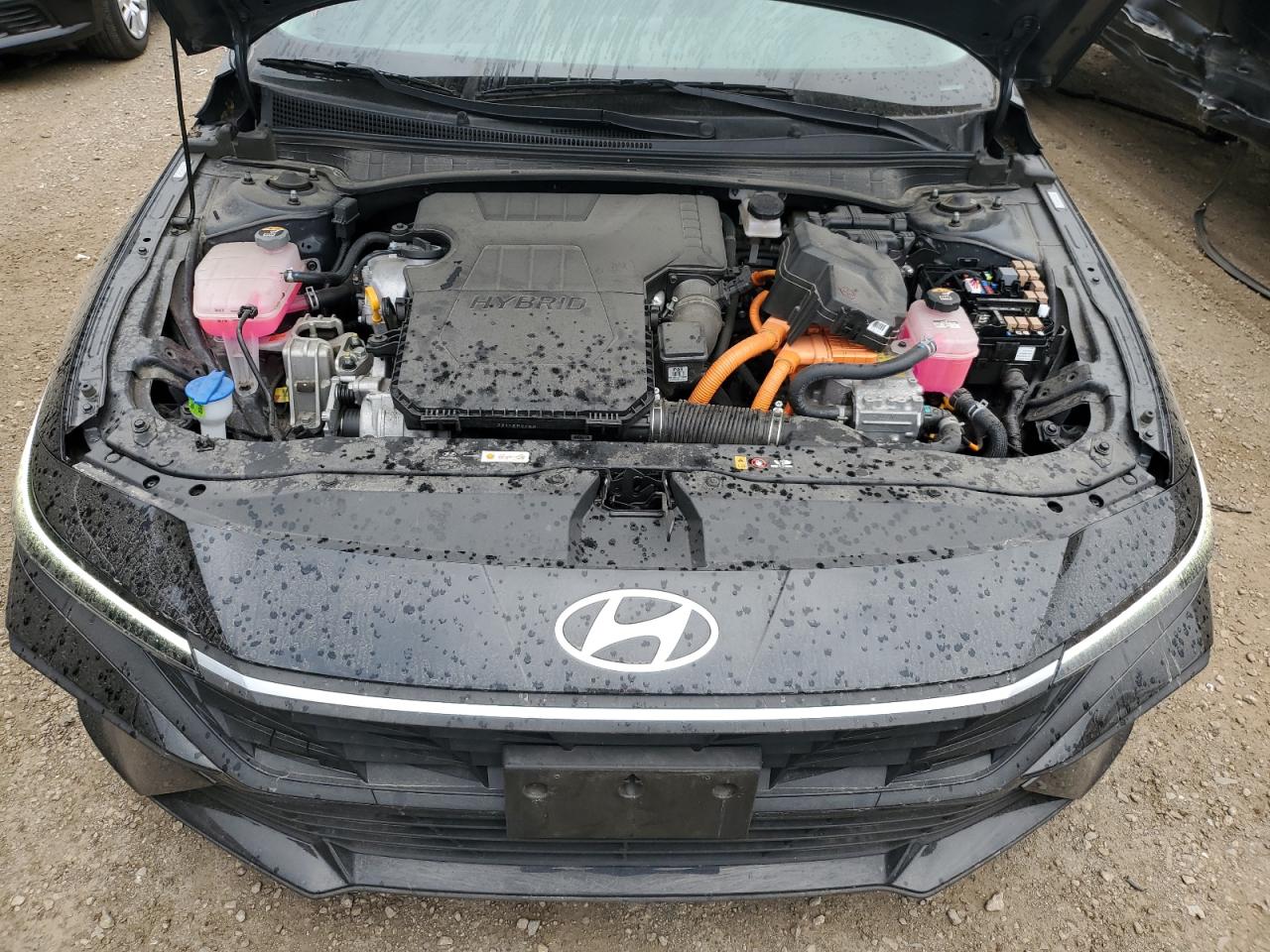 2024 Hyundai Elantra Blue VIN: KMHLM4DJ3RU114040 Lot: 84994745