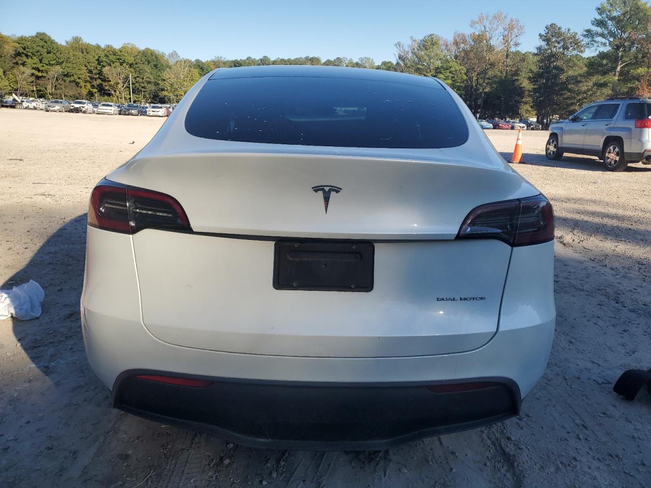 2024 Tesla Model Y VIN: 7SAYGDEE3RA333172 Lot: 82583275