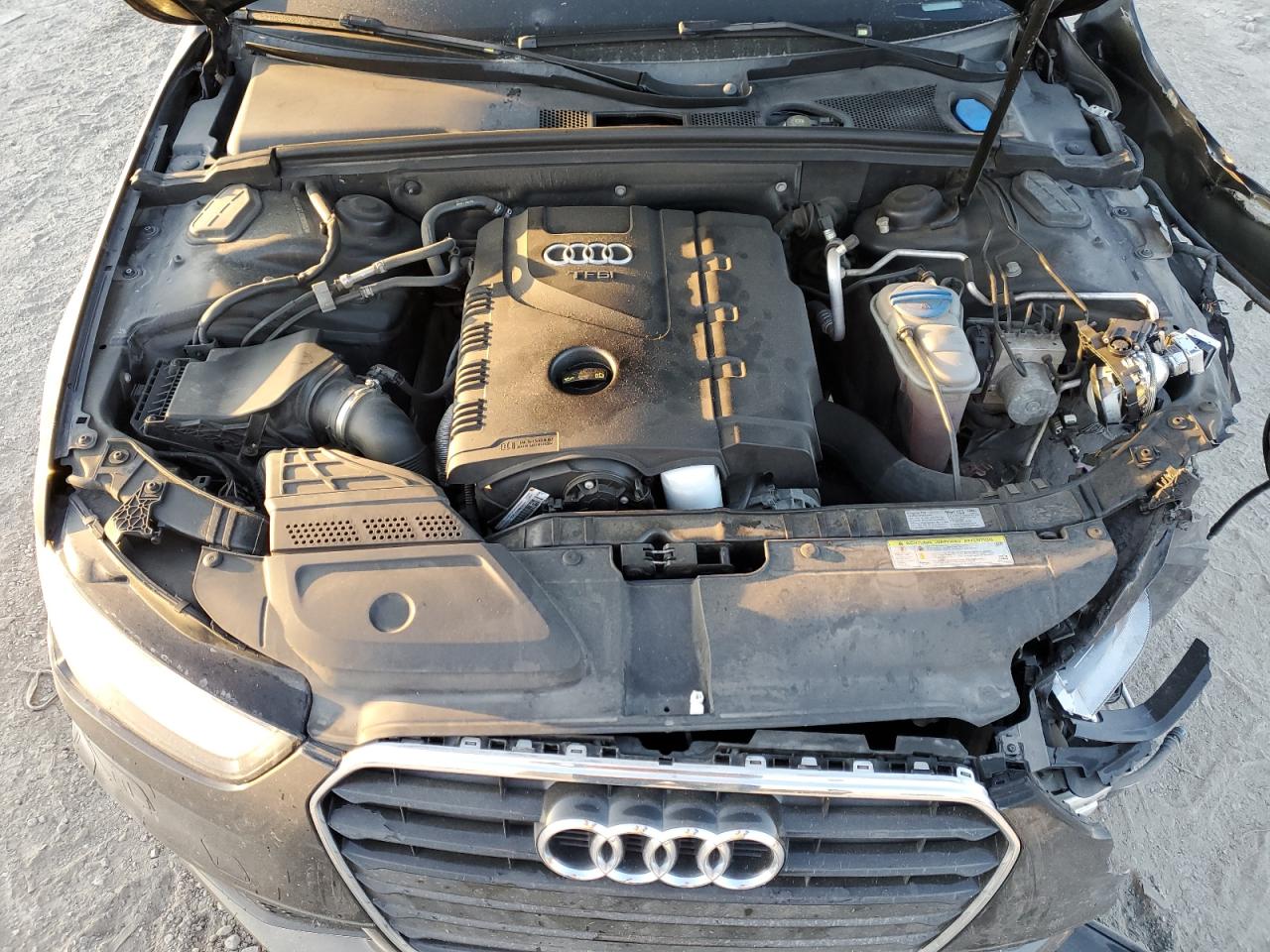 2014 Audi A4 Premium VIN: WAUAFAFLXEN036053 Lot: 82361655