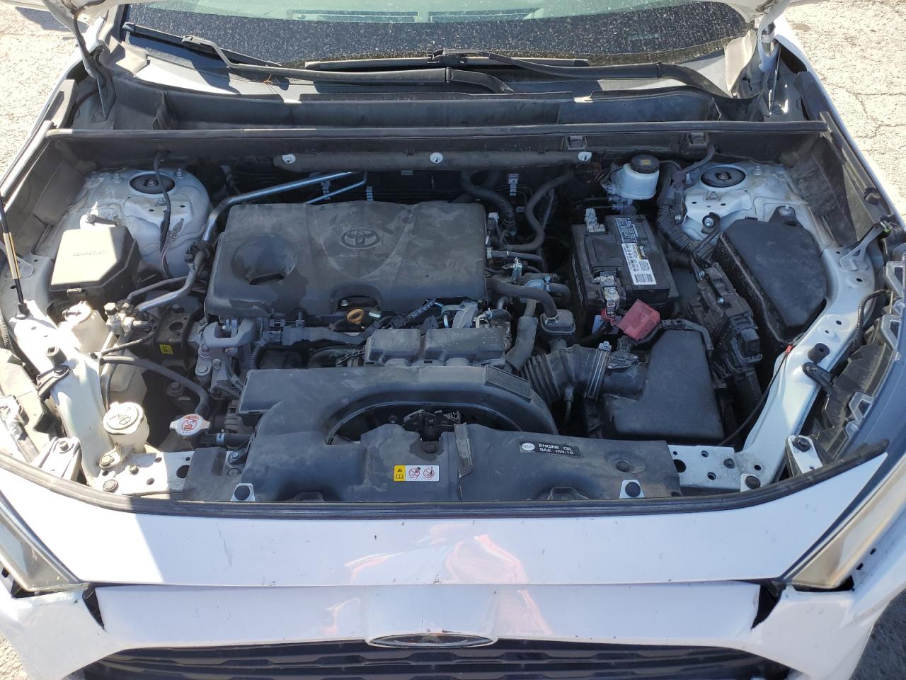 2019 Toyota Rav4 Xle VIN: 2T3W1RFVXKC013921 Lot: 84049605