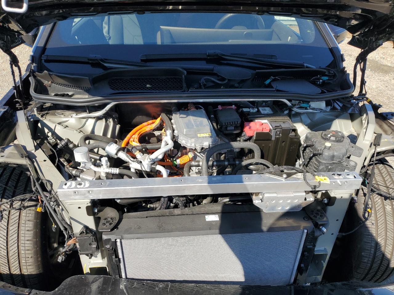 2025 BMW Ix xDrive50 VIN: WB523CF09SCT24179 Lot: 82559075